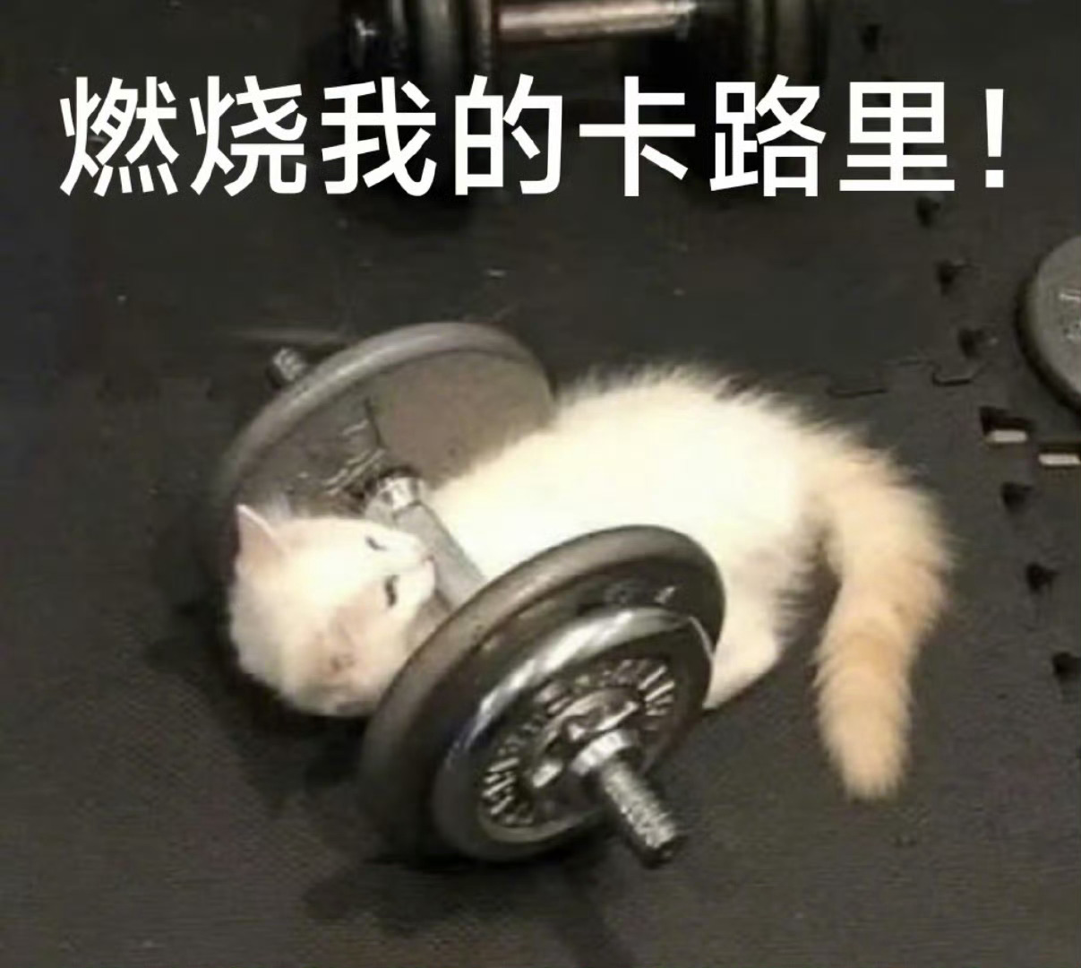 减重成功花的钱配享国补吗今年是体重管理年，那咱就是说体脂率是不是也可以来个梯度退