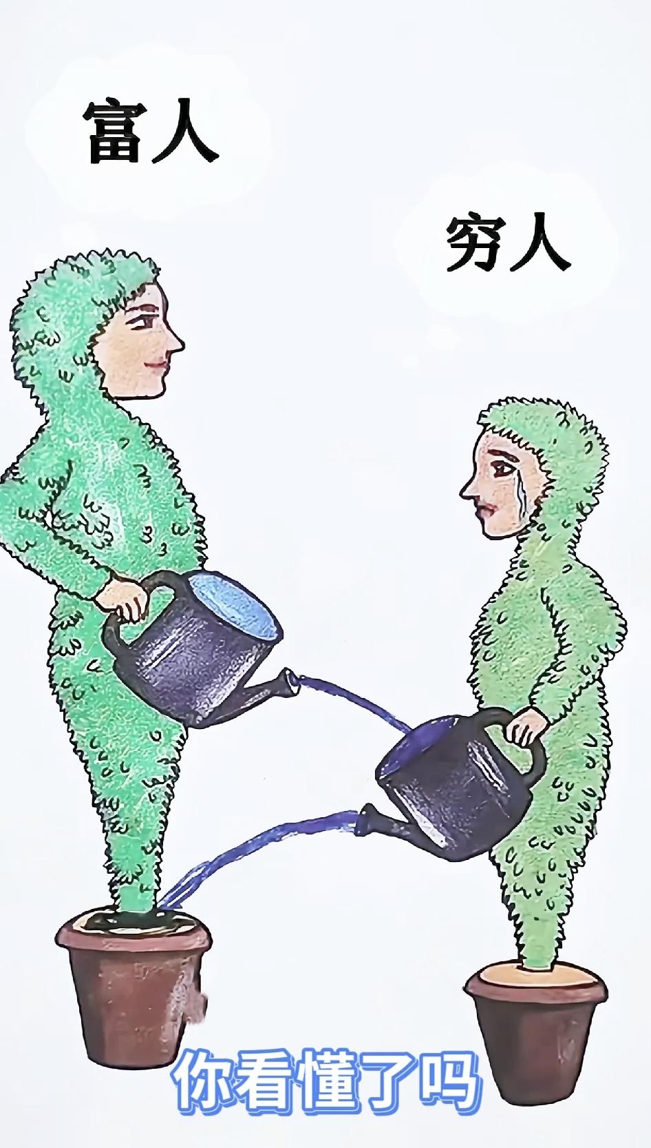表面互相浇灌彼此成全，一盆之差，道尽难以跨越的现实差距

人性感悟 现实漫画 阶
