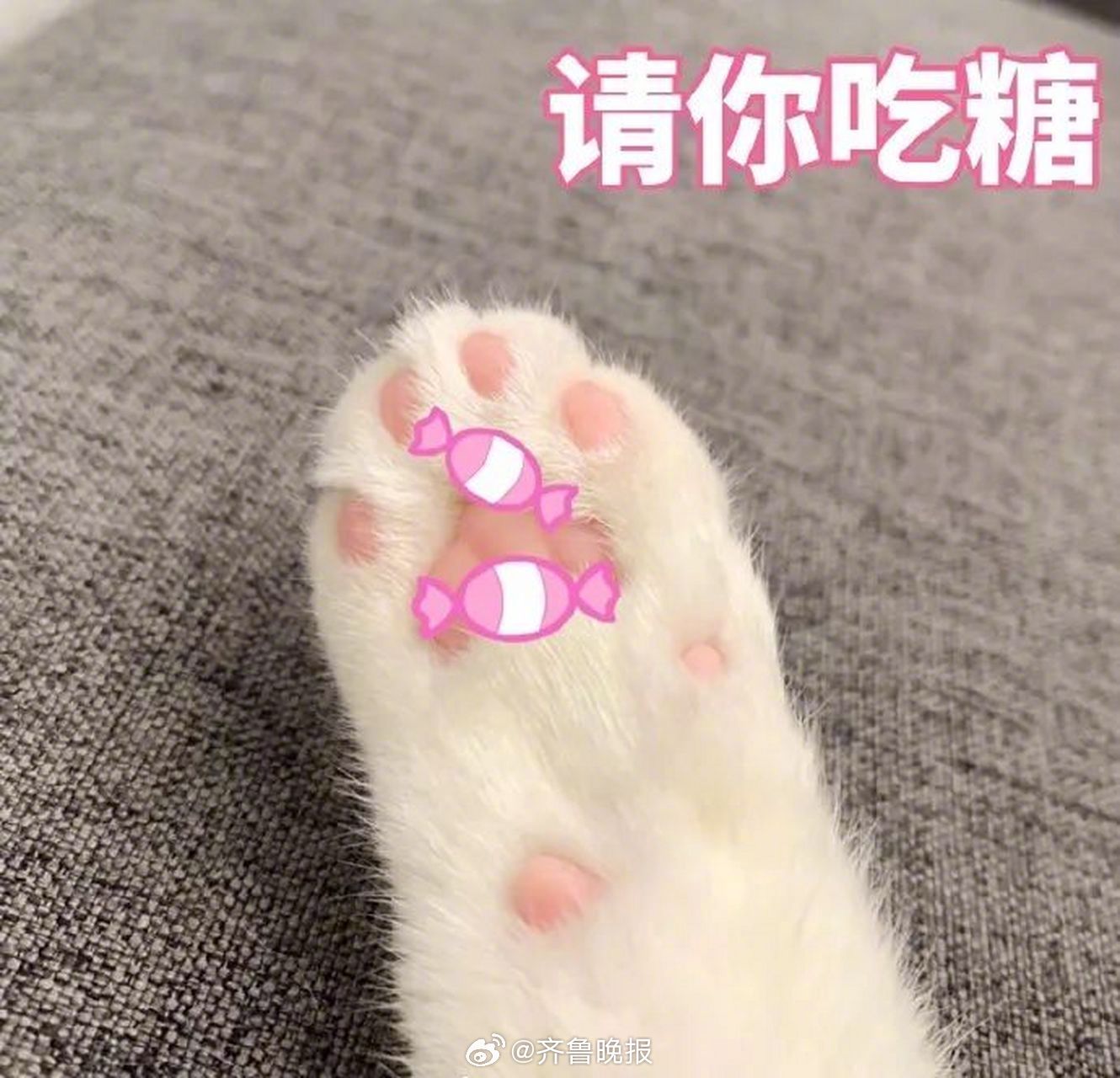 与其感叹生活不易，不如给生活加点甜味。#晚安#