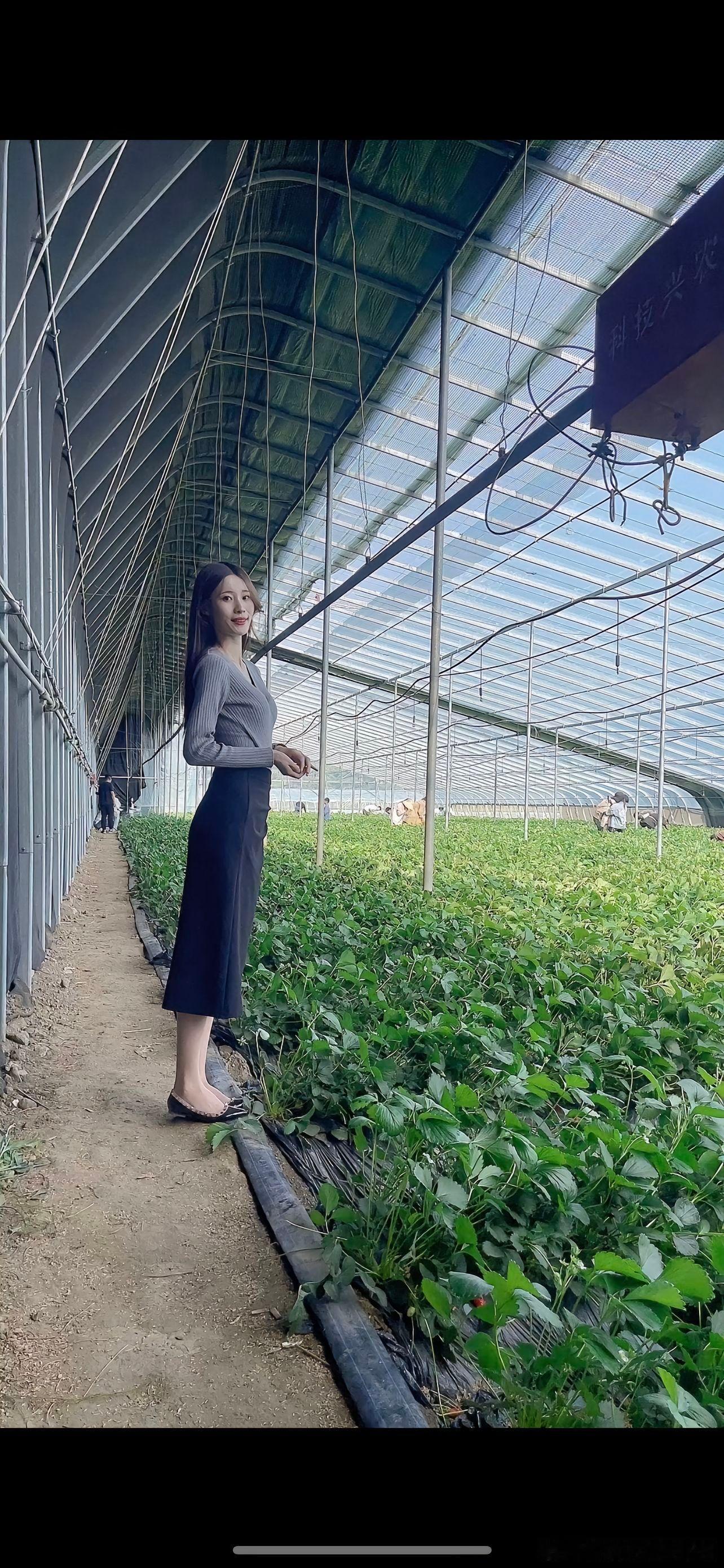 去摘草莓呀～ ​​​