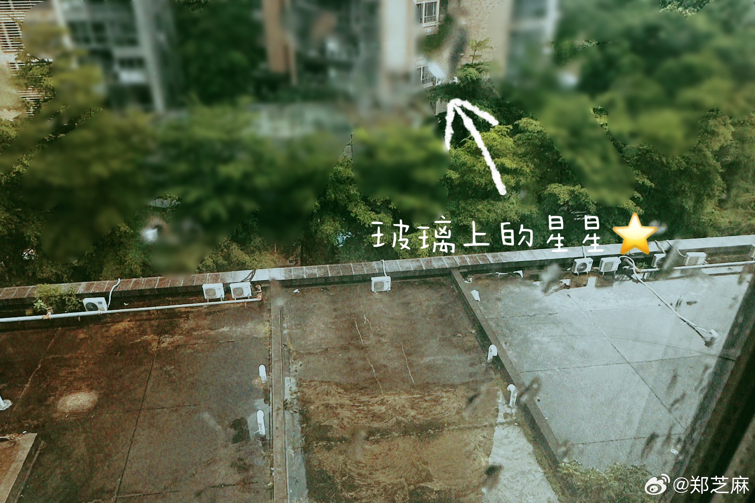 可乐早上赖床，我去看他睡眼朦胧躺在床上，完全不想起。于是上演一出～lifecoa