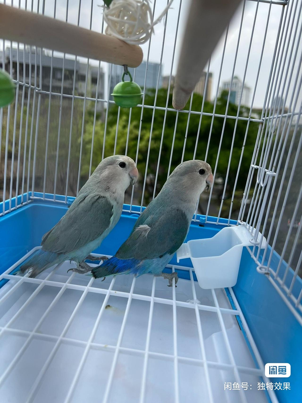 忽然想明白了一个答案，最打动人的不是忠诚，真诚，信任，钱，甜言蜜语，一杯热水，而