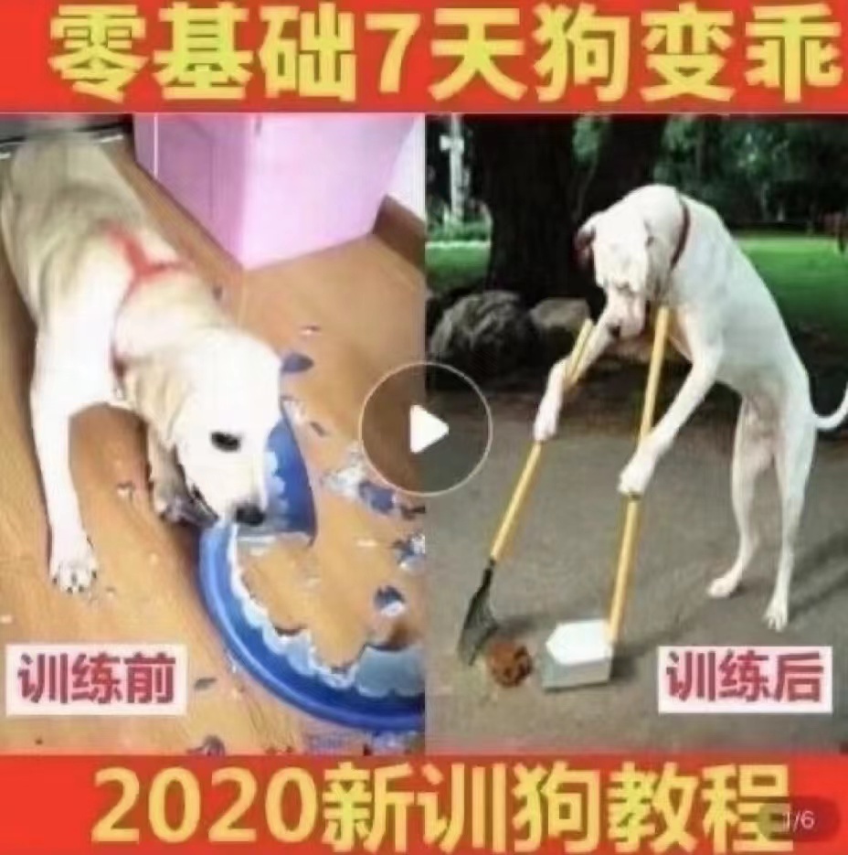 #被卖家宣传图硬控了#好疯好炸裂 有种卖不出去的感觉 ​​​