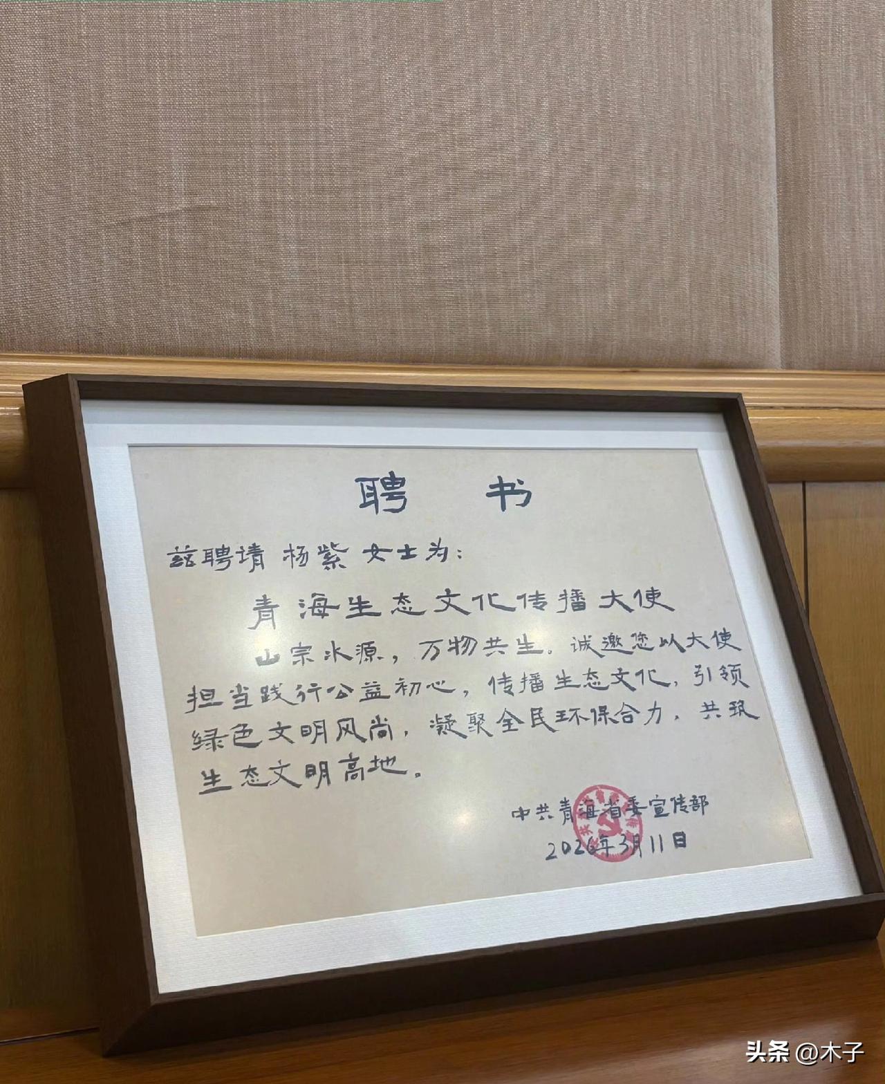 杨紫这份“青海生态文化传播大使”的聘书，和大多明星挂名的公益头衔，从来都不是一回