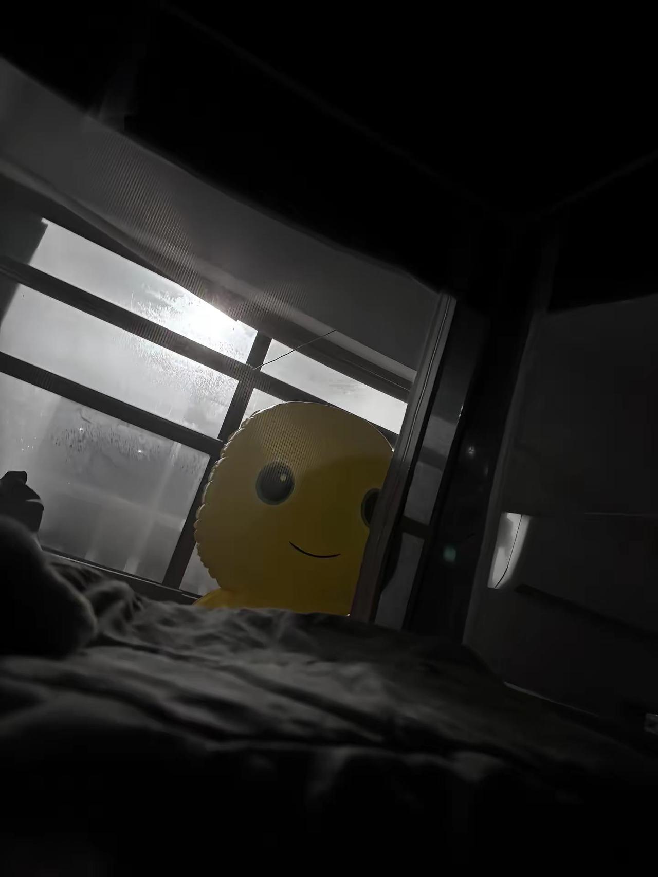 室友 你的奶龙要把我吓死我了