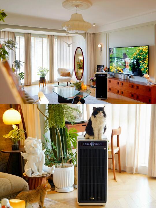 35岁携猫带娃住进呼吸感dream house~