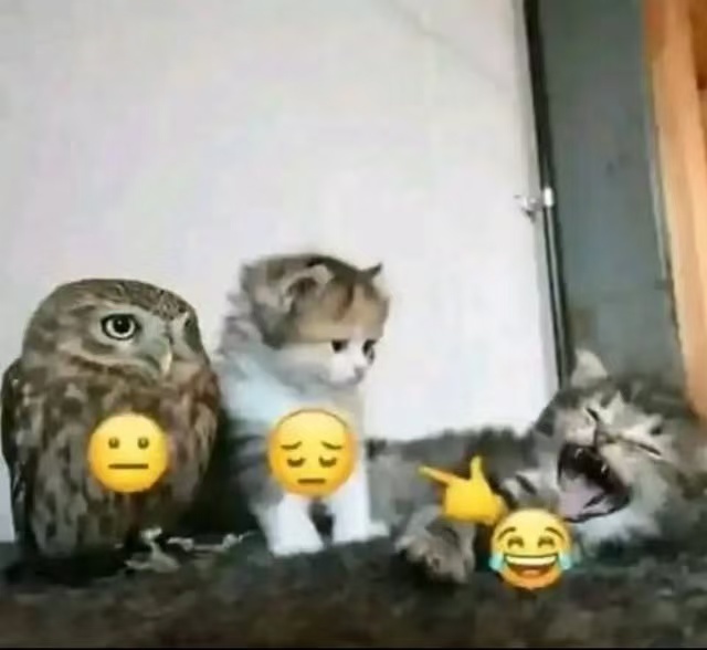 👈😂 