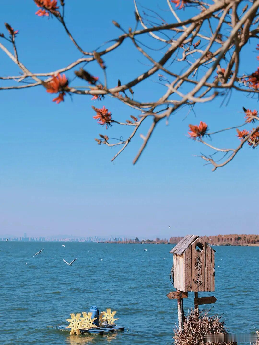 人间暮春，风柔花落，春色阑珊，岁月安然～ 