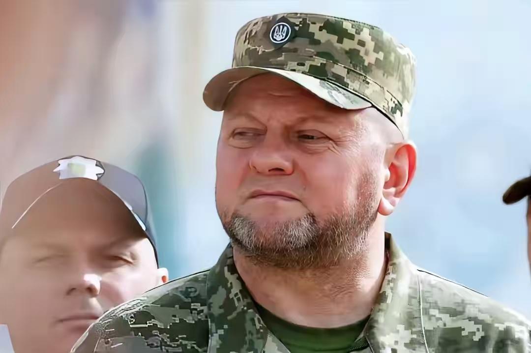 扎卢日内：“乌克兰和俄罗斯的关系是永远的敌人，乌克兰目前的任务是收复被占领土，然