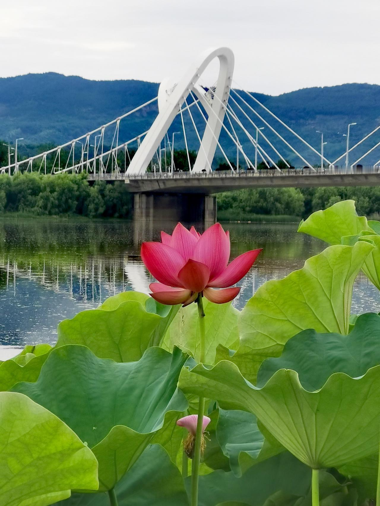 汉中天汉湿地公园