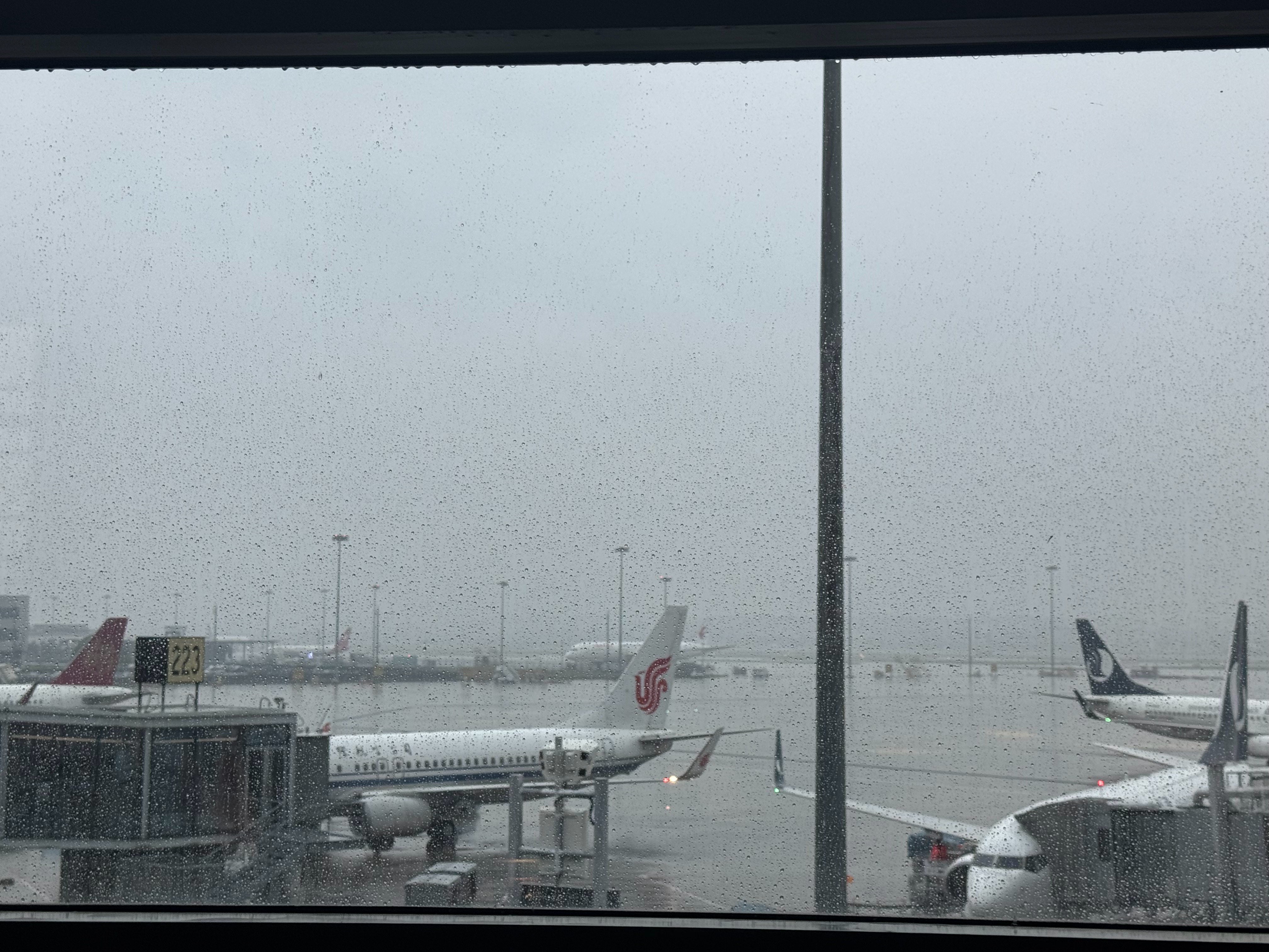 看这个状态，准备开始雨飞了啊。 ​​​