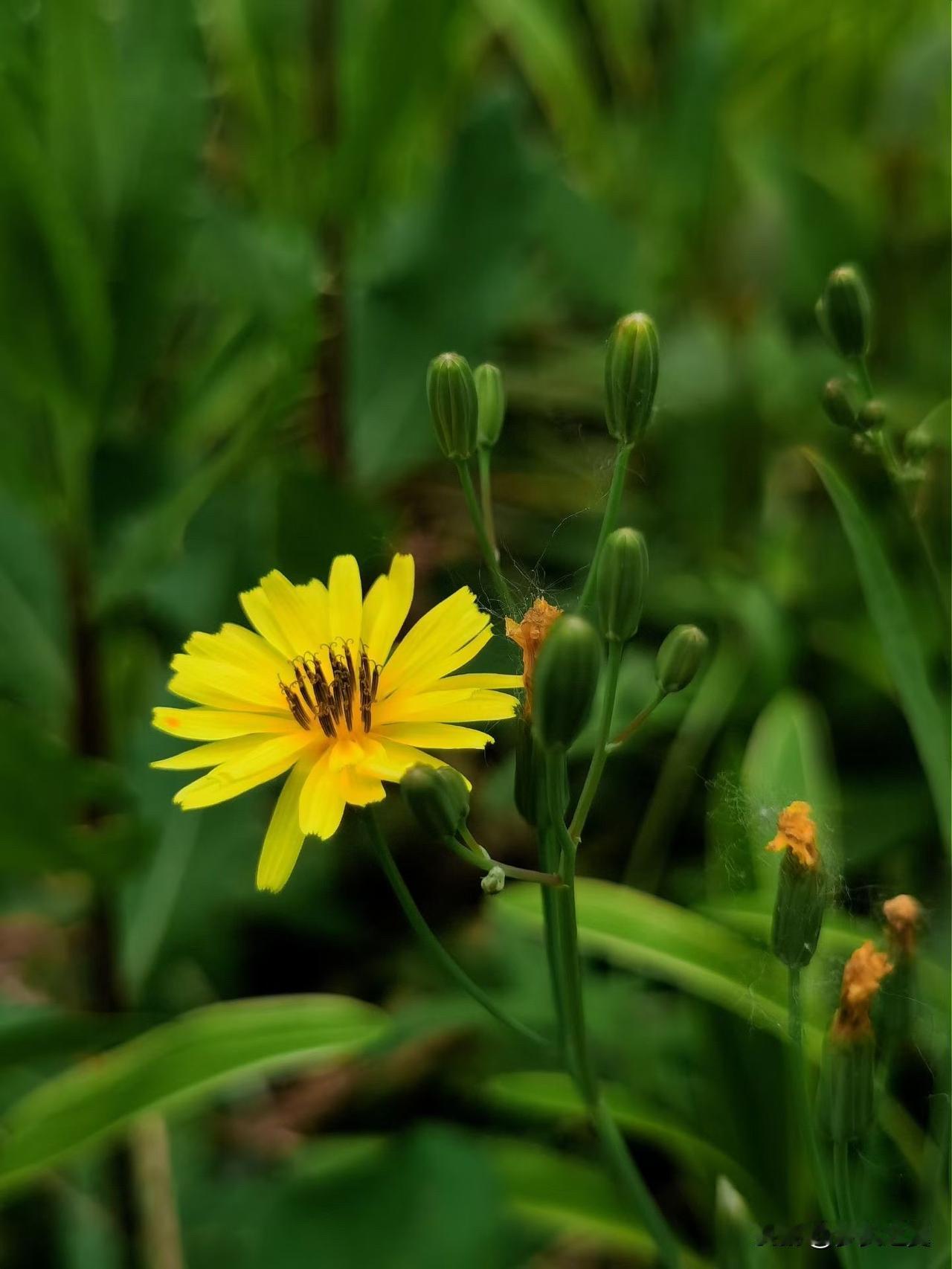 【小对联】
上：……？
下：阶级。