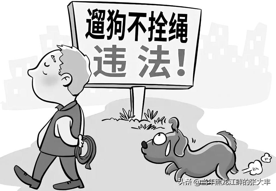遛狗不拴绳而引发的邻里矛盾真是太多太多太多啦！

仅仅这一周内，我们小区院内遛狗
