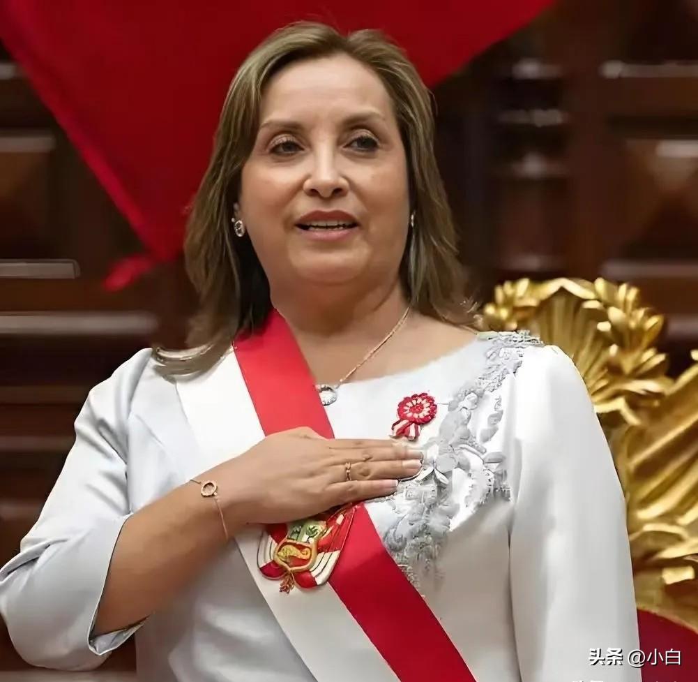 秘鲁这一刀，砍的真狠！中国汽车轮胎在秘鲁彻底“芭比Q”了，3月24日，秘鲁刚刚出