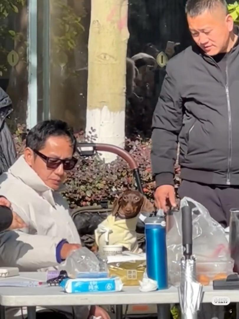 赵doe的歪头杀，魅到谁了赵露思