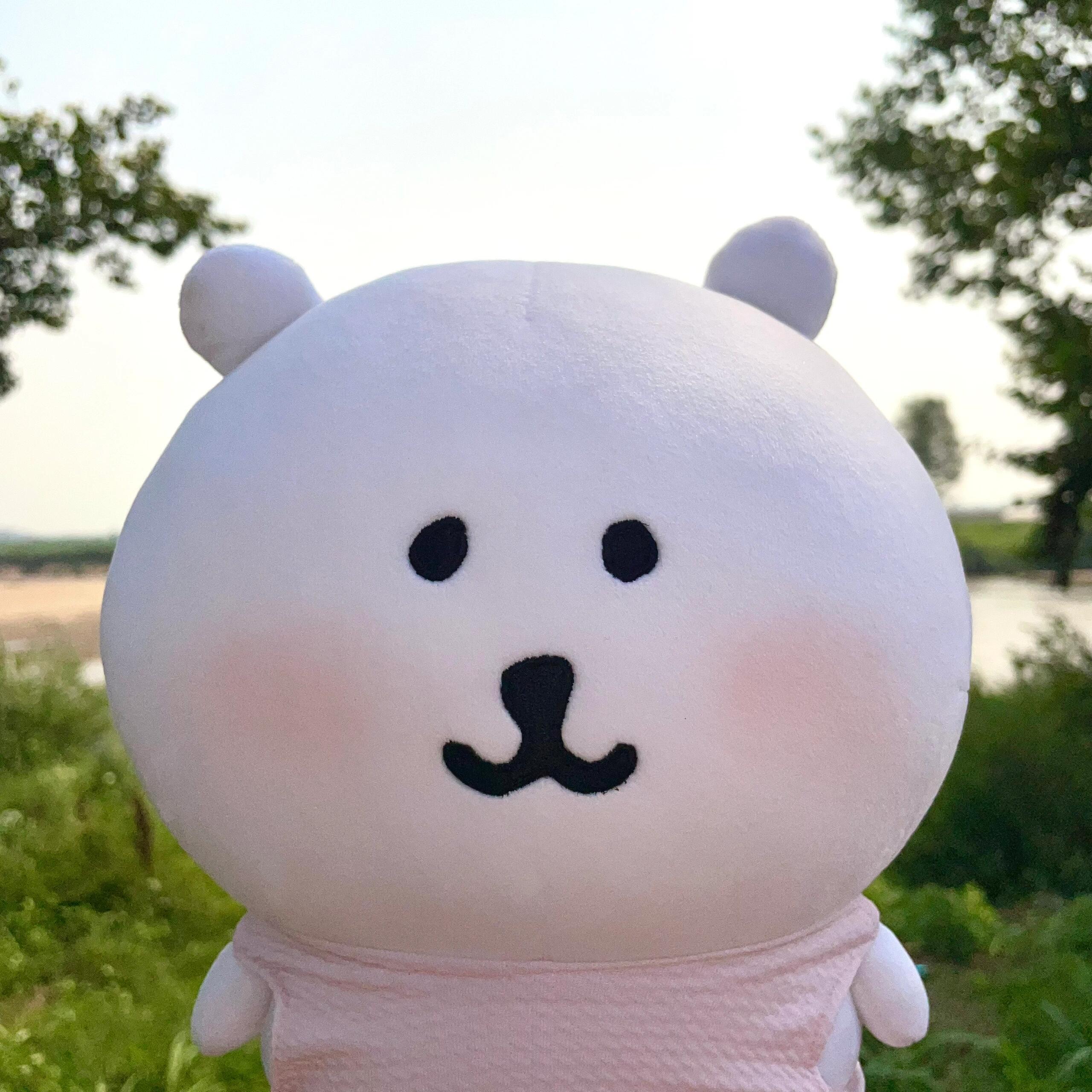 自嘲熊头像 ​​​