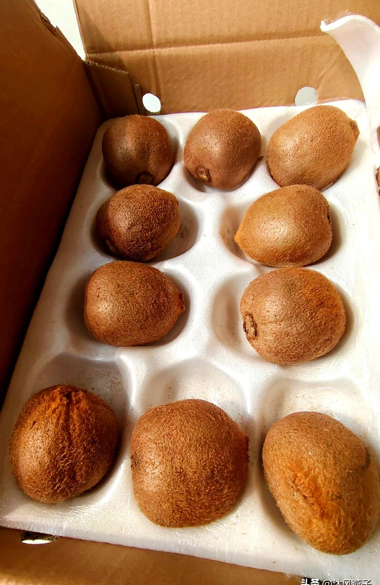 也是网购翻车的事儿。
看到标注60克就点了，想象里是拳头大的猕猴桃，拆箱一看十个