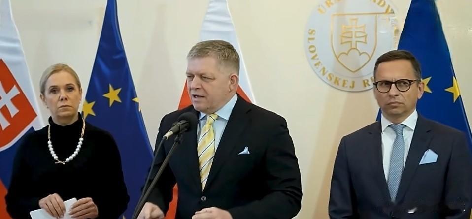 斯洛伐克总理菲佐:“石油方面，我们做了一切努力，我们没有理由谈论短缺，或价格上涨