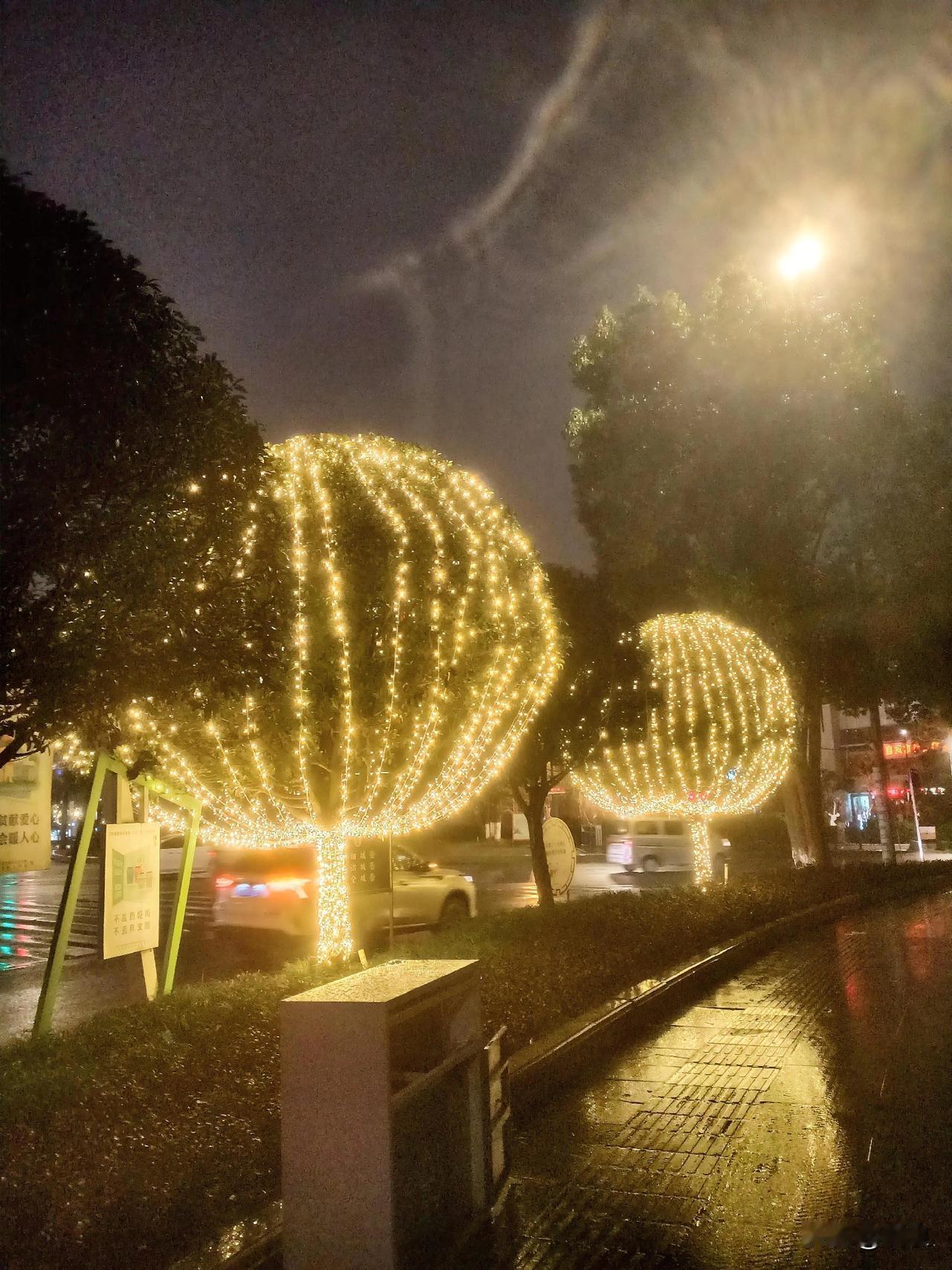 自贡丹桂大街的夜晚“豁前”有点新景

近些天不同的路口

不同的行道树上

前前