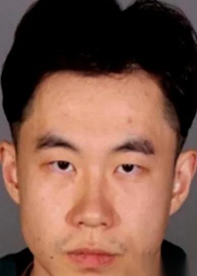 张大鹏，一个哈工大毕业、在法兰克福拿高薪的IT经理。如果不是德国警方那把破门而入