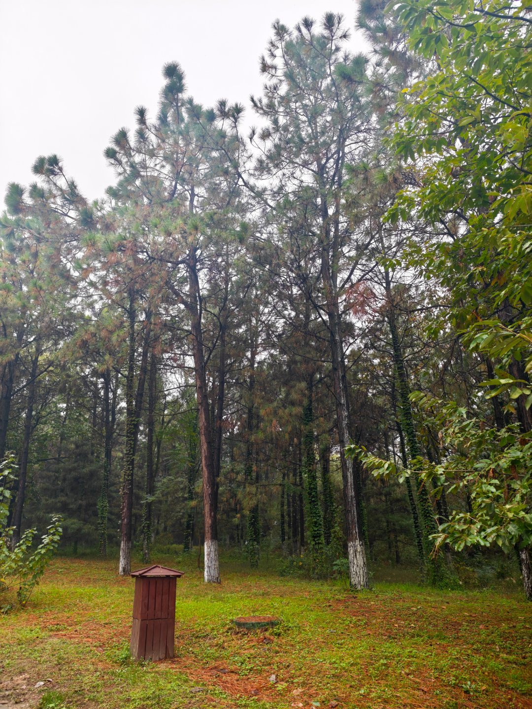 动物园全是屎味儿[允悲][允悲][允悲] ​​​