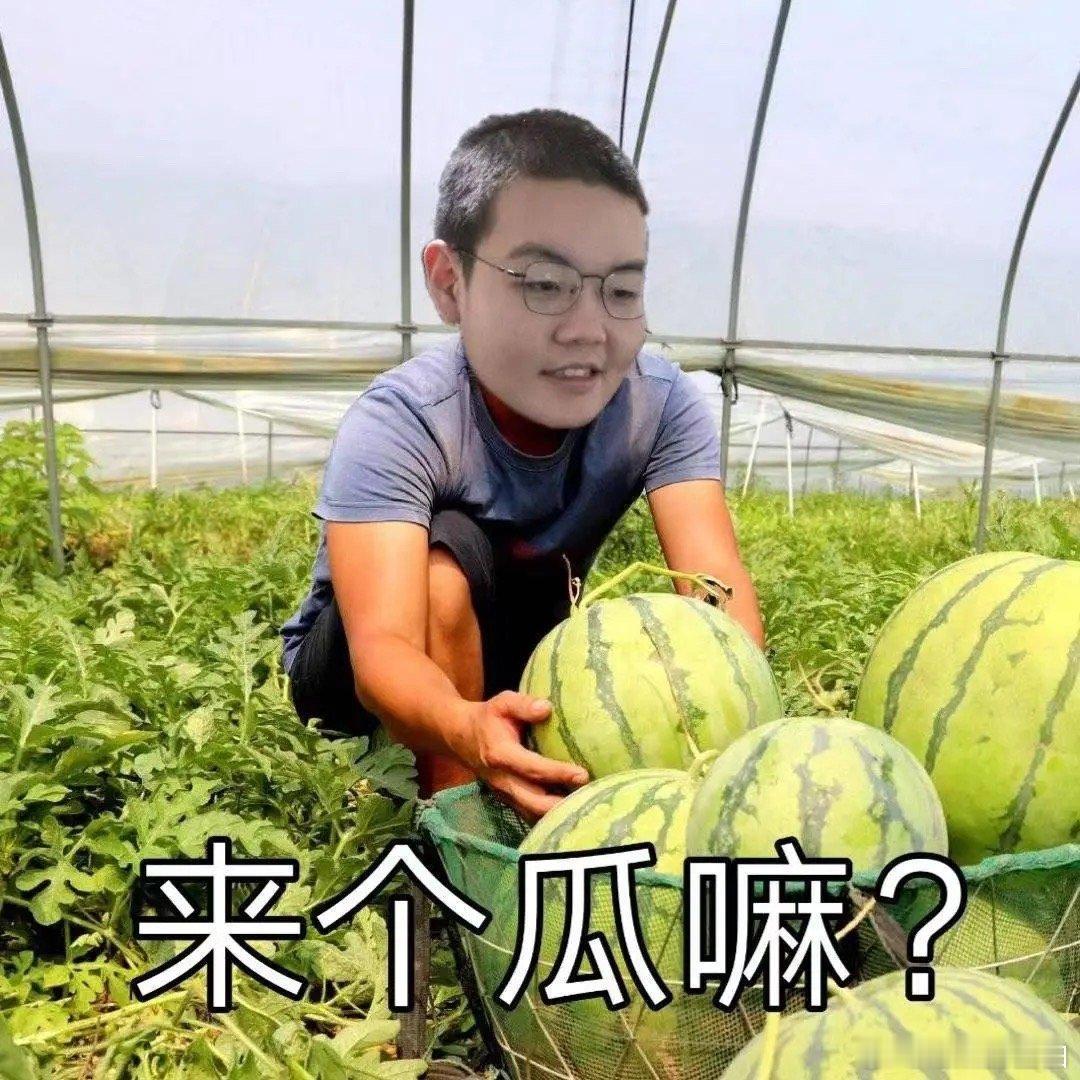 有一说一369是不是cn抗韩最强上单？msc暴打khan，rascal，nugu