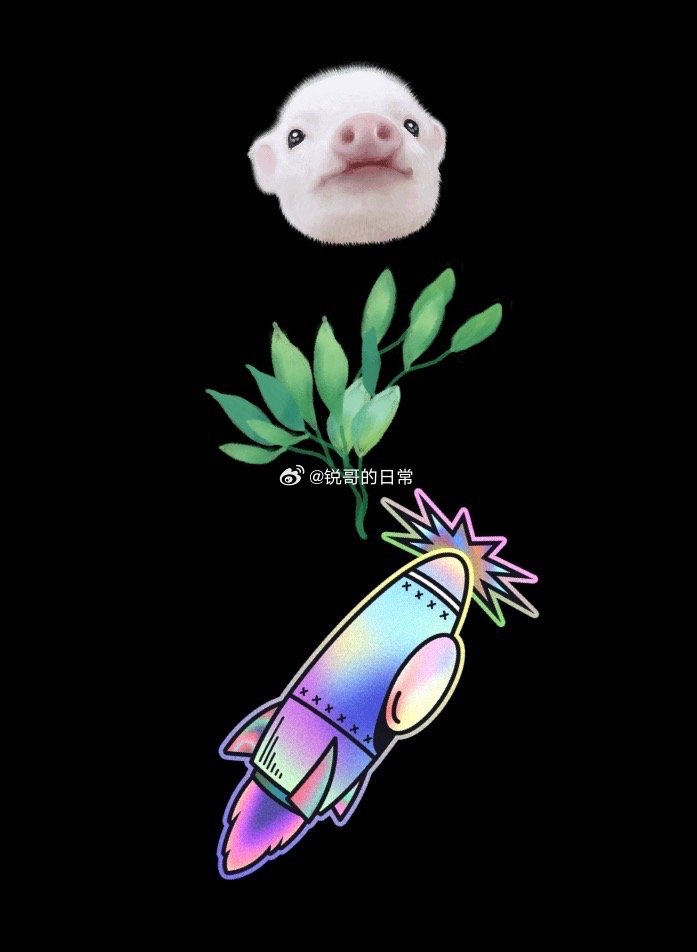 分享图片 
