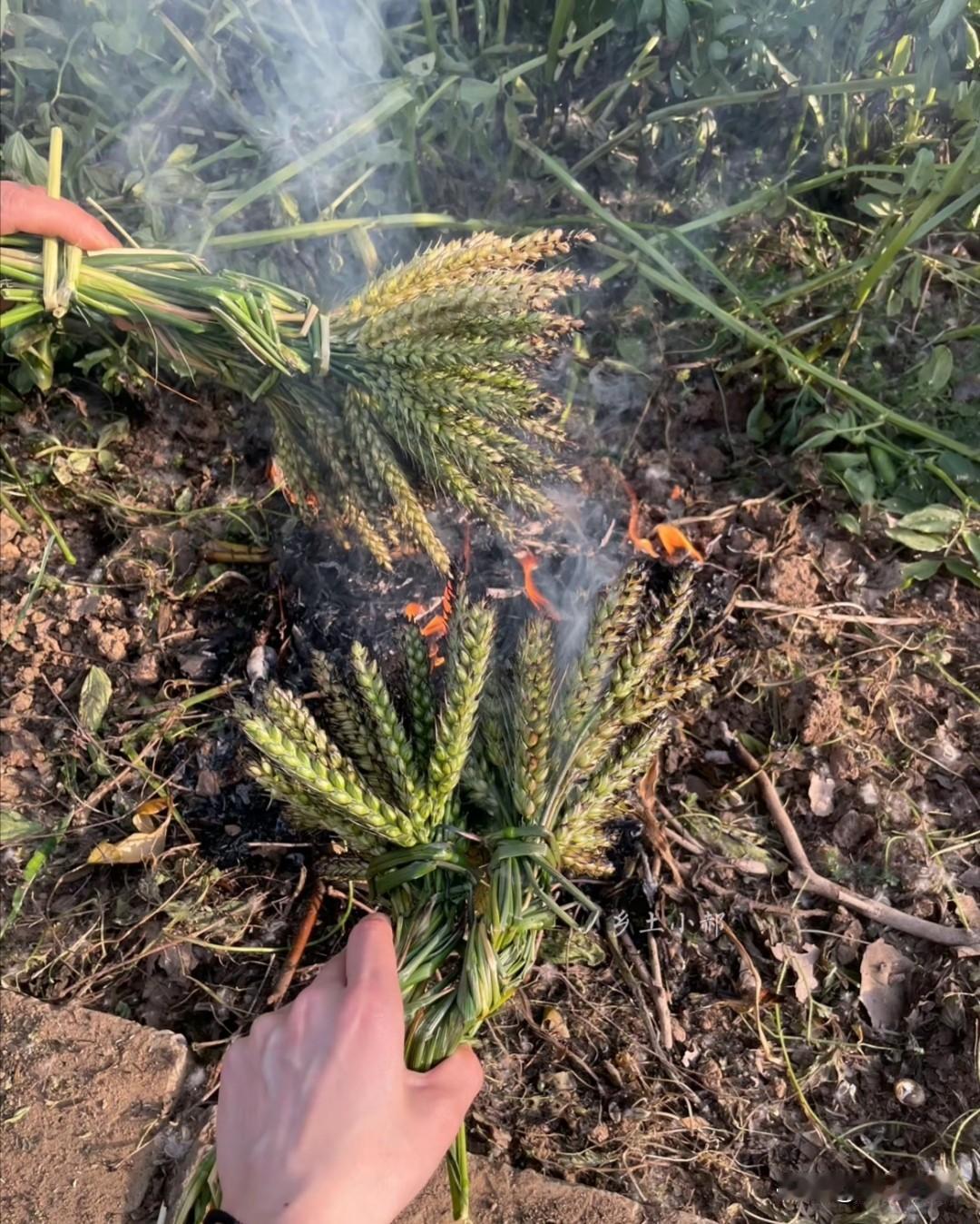 吃过这个烧麦的，估计孩子都二胎了吧，你们有多久没烤过麦仁啦？香滴很