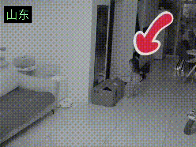 这是谁家的调皮女儿啊！有点废爹，小女孩凌晨两点躲进纸箱子里，爸爸半夜起来喝水，小