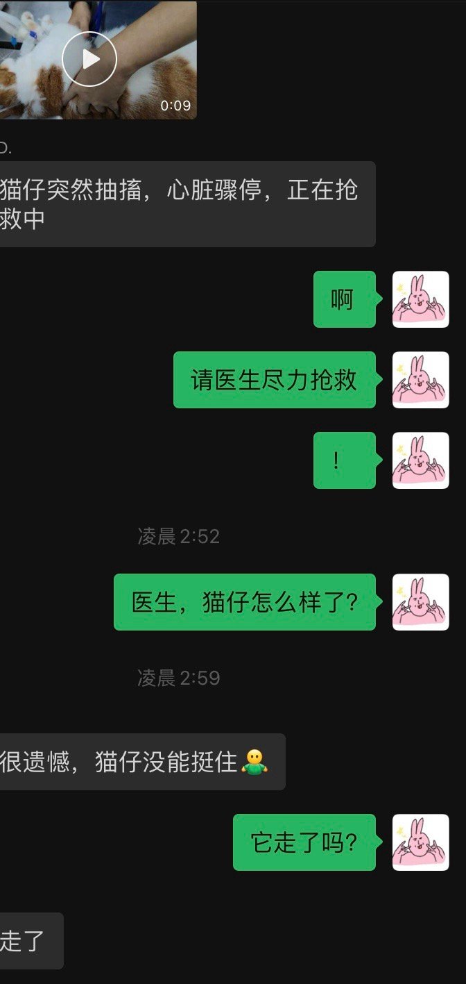 2点59分，你轻轻的走了。傻猫，走了也不知道凑个整数。我知道你很努力了。 ​​​
