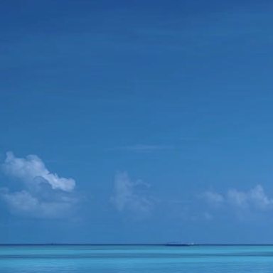 阳光信用    阳光信用  你今天的努力，是幸运的伏笔，当下的付出，是明日的花开