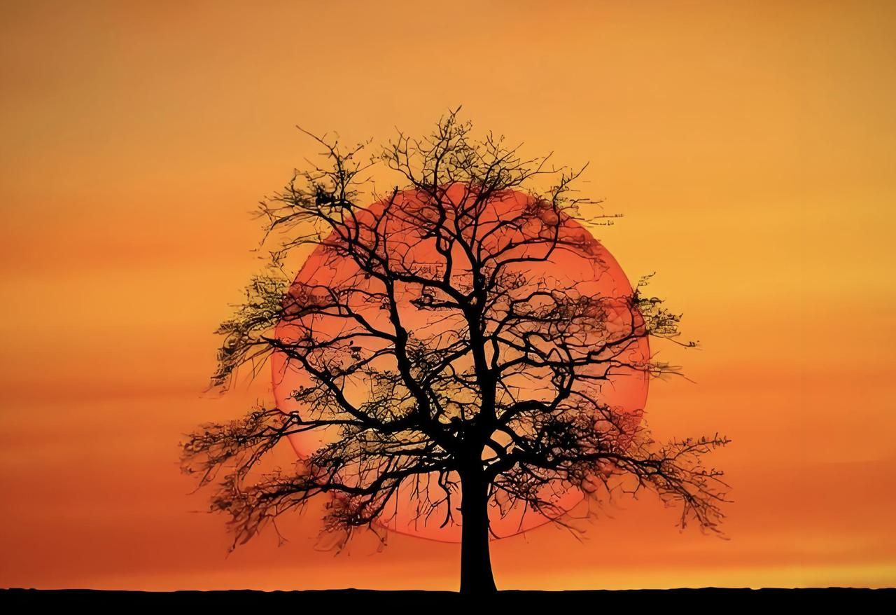 天不从顺耳之语，人不渡蜜糖之口。
你以为你爱听的那些话，是在养你？
是在废你。