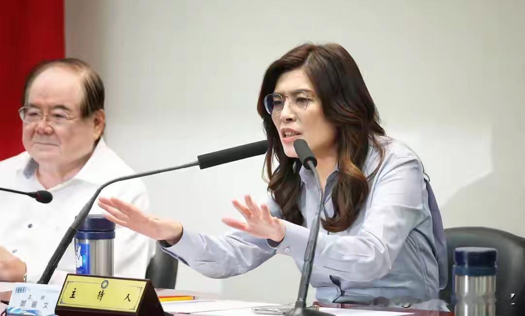 国民党全代会即将召开，两份党章改革提案新鲜出炉，看得出来党内这些年被选举内耗折腾