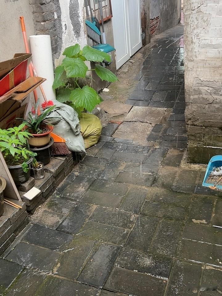 今天中雨下了4个多小时，对北方麦收来说简直是“噩梦”。就像山东，6月5 - 6日