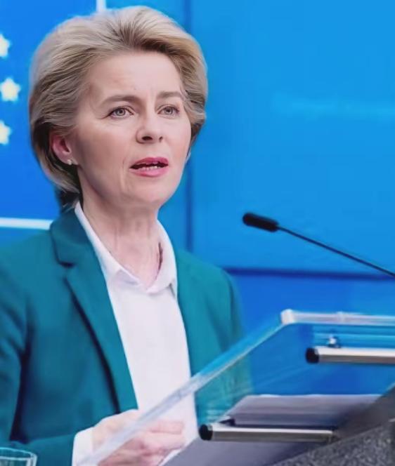 谁给的权力？
 
6月10号，欧盟那个女主席冯德莱恩又放话了。这回她不仅要给俄罗