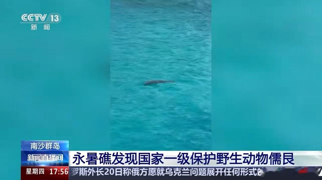 全球最古老海洋哺乳动物现身南海 神奇一幕！2025年7月中旬以来，我国科研人员在
