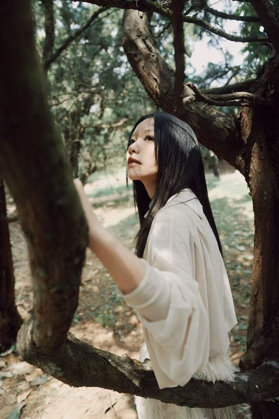 房东的猫新专辑不擅生长的树房东的猫专辑同名曲不擅生长的树 概念片里树木的每一圈年