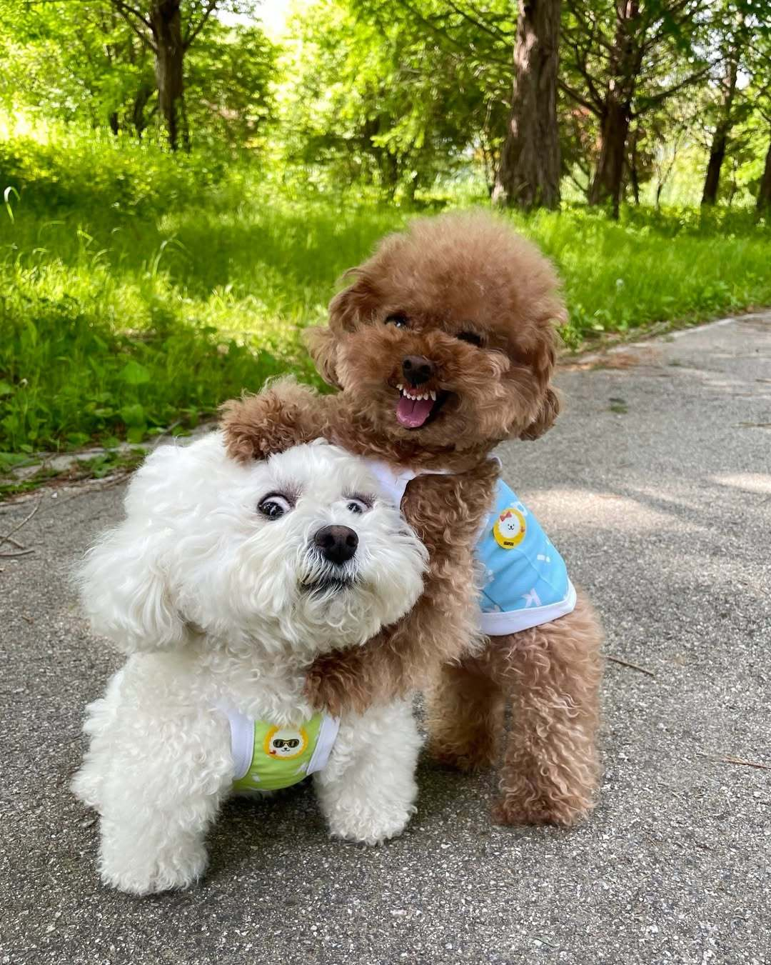 妈妈！他抢我小饼干吃！ ​​​