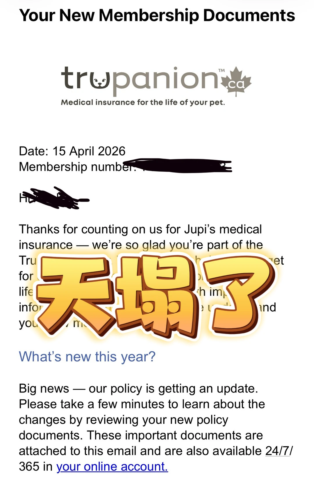 一大早晨打开email天塌了🤯
