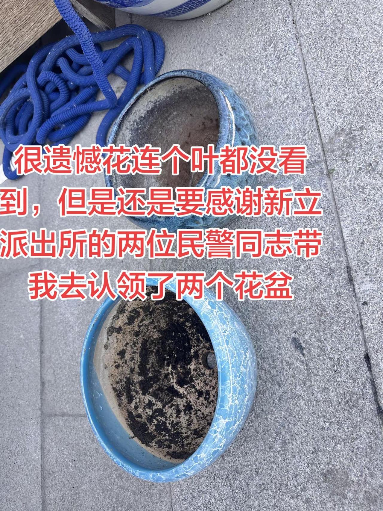 海城 偷花贼后续坏老头感谢新立派出所的民警，为民除害