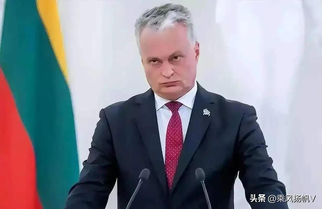 首个请求参战的国家出现了！立陶宛总统瑙塞达的首席外交政策顾问阿斯塔·斯凯斯吉里特