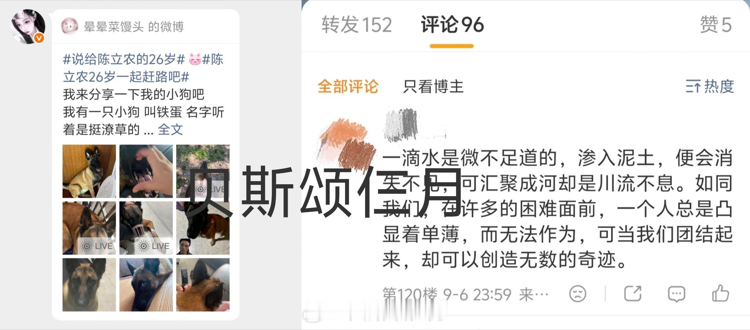 我放我捞＋ 当天到 ​  ​​​