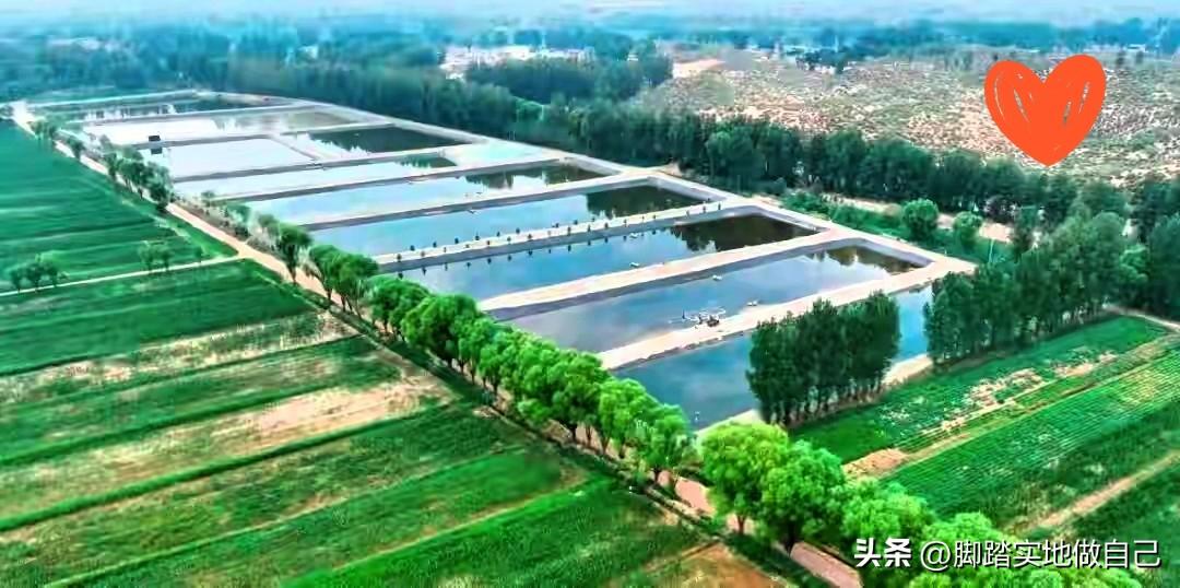 黄土高原变鱼米之乡！榆林渔业产值破1.29亿


2025年榆林市立足市域资源禀