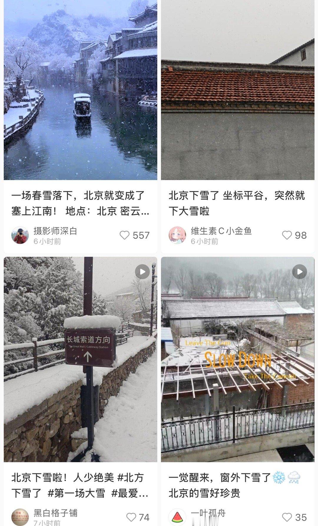 我的天呐[苦涩] 嘘国王在冬眠昨天开完见面会北京今天下雪了❄️ 国王爆爆爆国王就