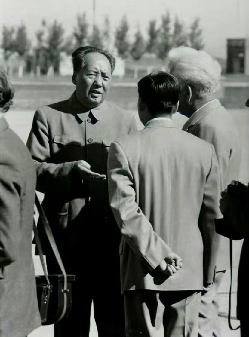 最爱这张抓拍。时间是1961年，教员与蒙哥马利交谈。在翻译侧身的空隙间，教员正与