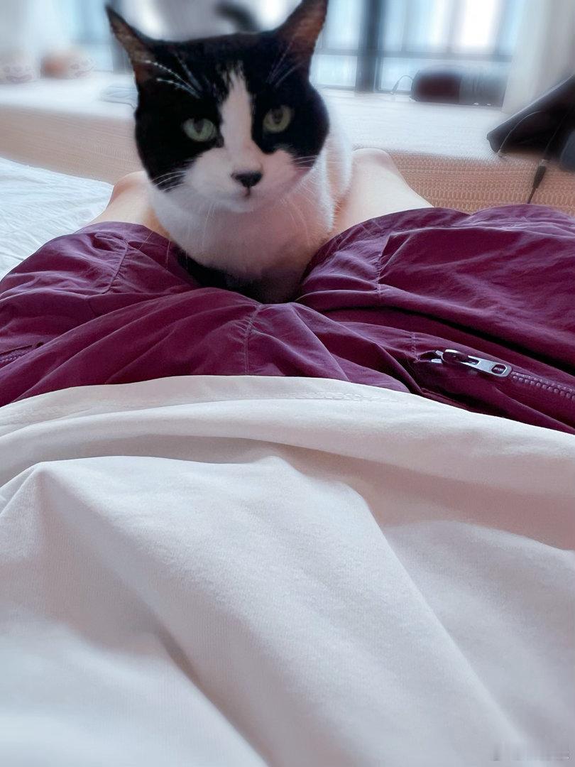 刚刚睡醒的我和我的猫。 