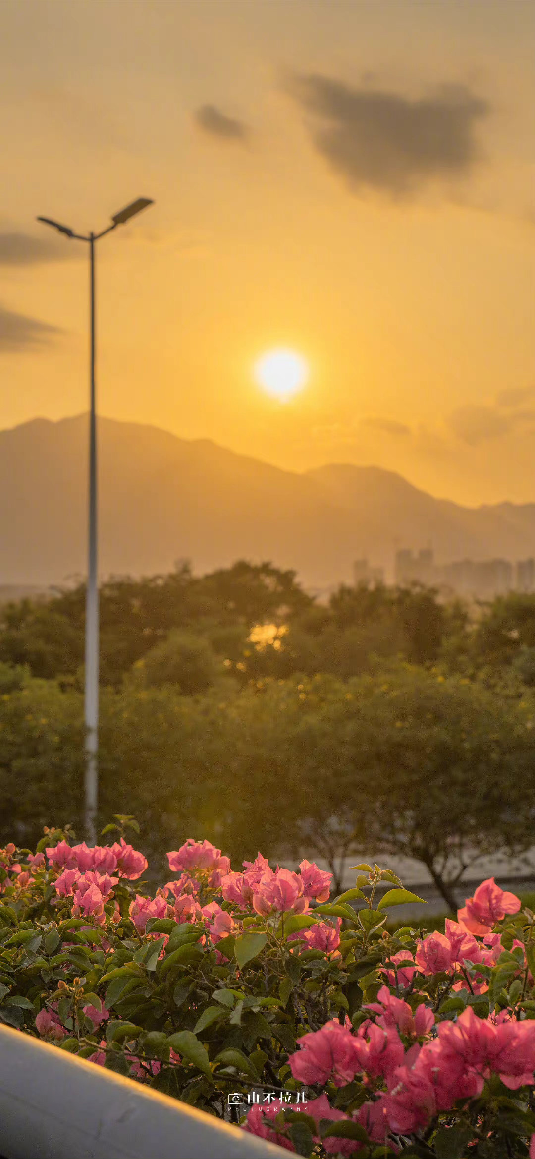“落日的江风最解忧”🌄 ​​​