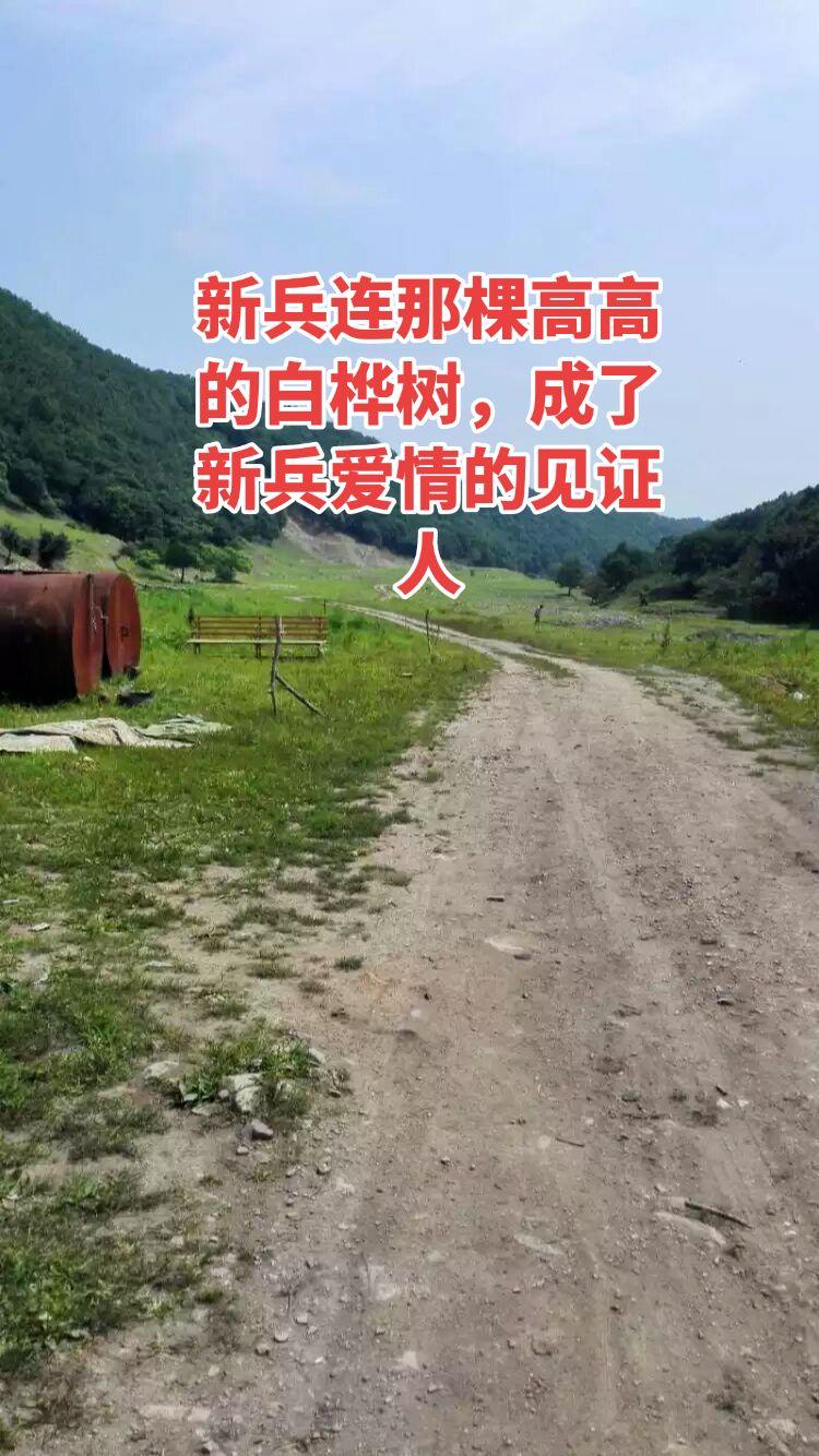 （军旅回忆8）用桦树皮写信，情真意重。真实生活分享计划战友们，四十年前用桦树皮给