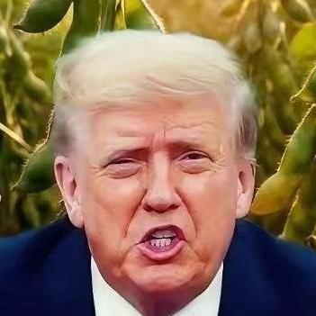万一阿根廷，美国，巴西三国大豆全部涨价，中国怎么办？ 如果阿根廷、美国、巴西三大