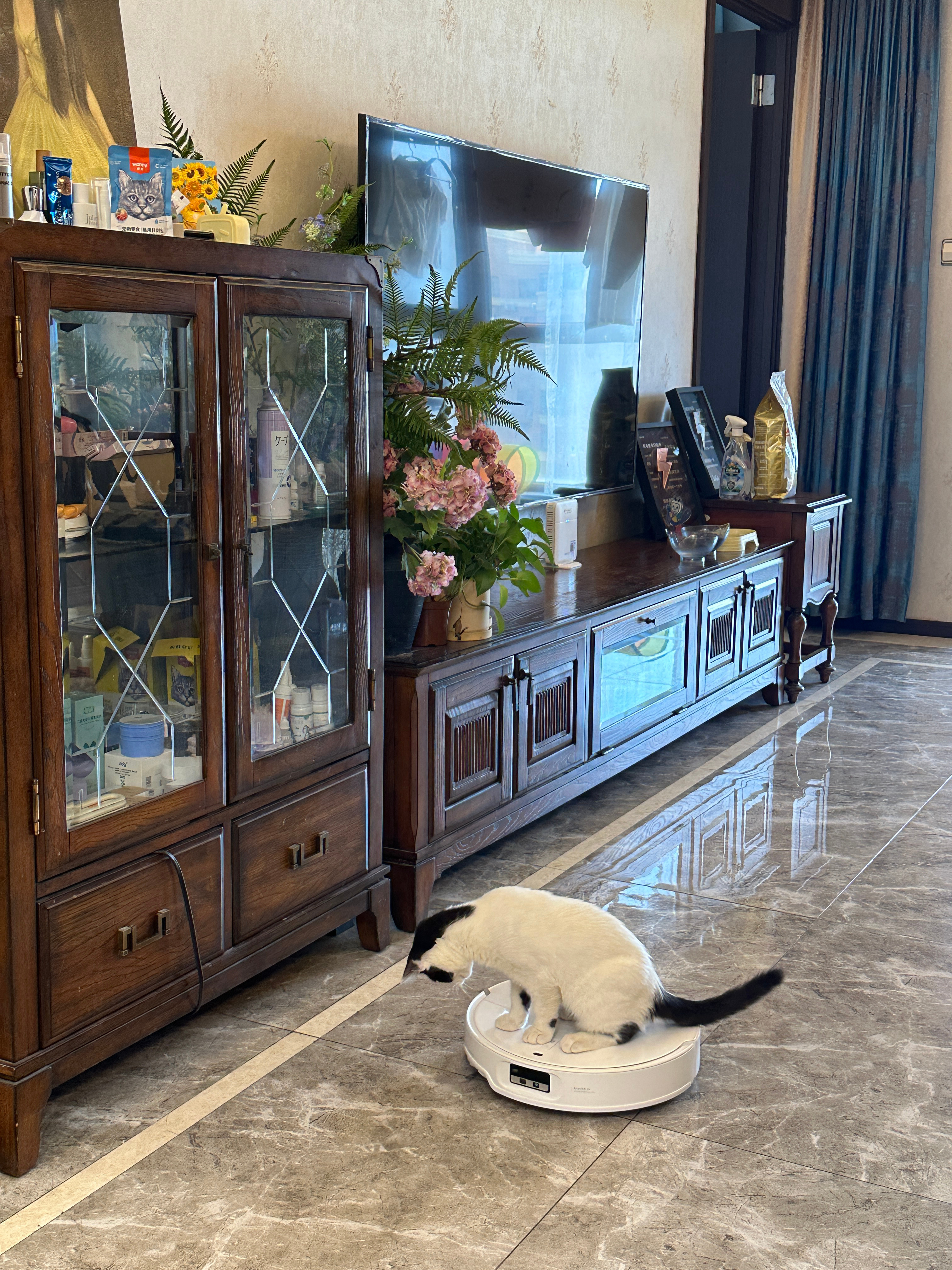 来财新座驾 ​​​